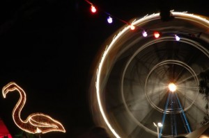 FlamingoEye06