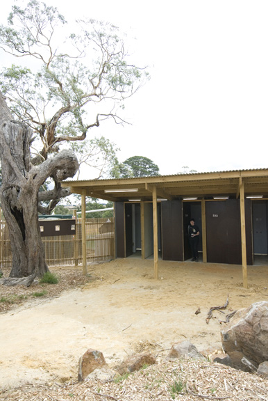 goldenplains062