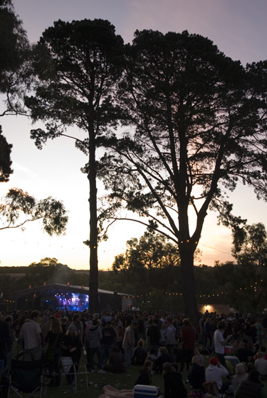 goldenplains135