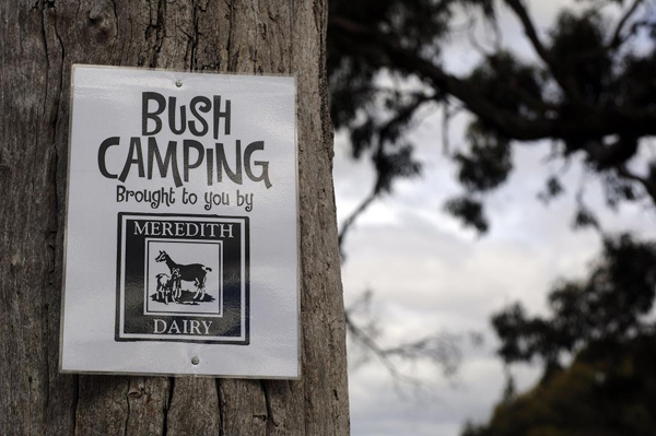 Meredith Dairy