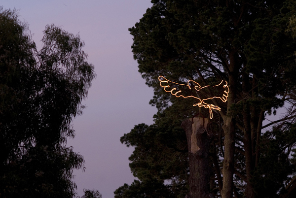 Trees